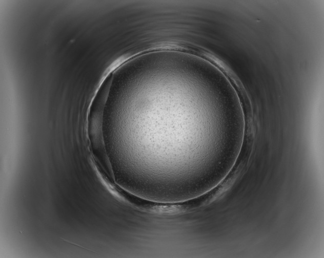 X0000086000858200703300946