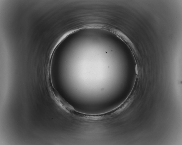 X0000086000860200703300946