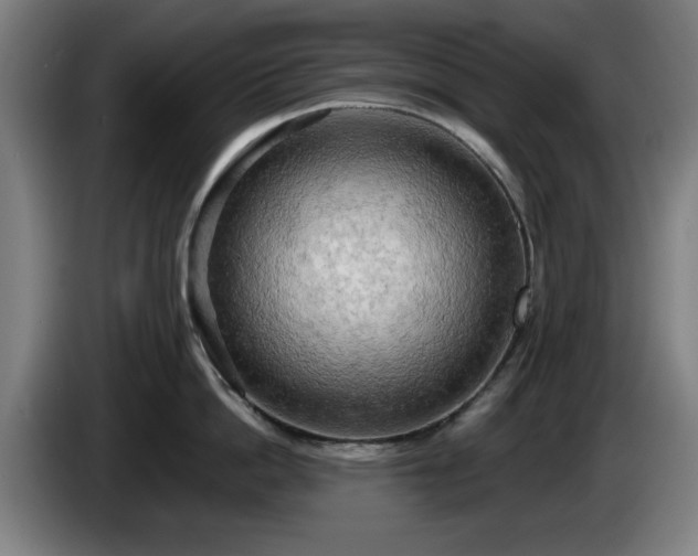 X0000086000862200703300946