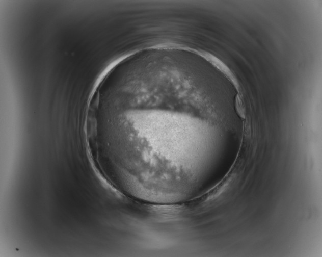 X0000086000863200703300946