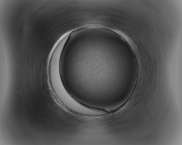 X0000086000864200703300946