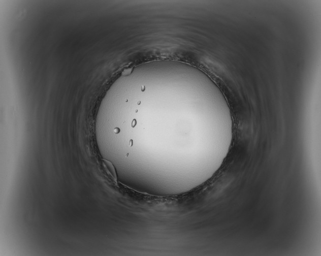 X0000086000865200703300945