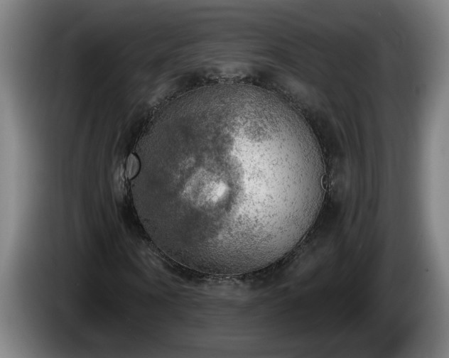 X0000086000866200703300945