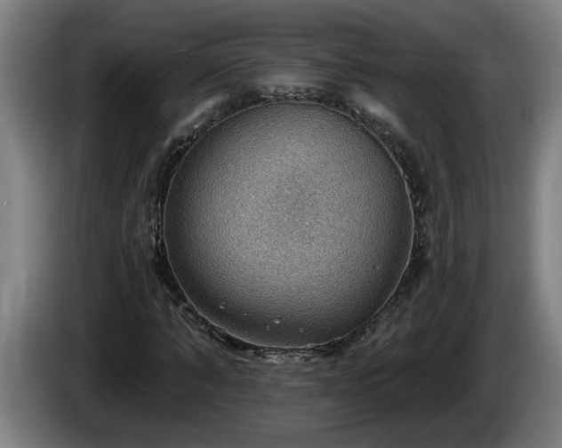 X0000086000870200703300945