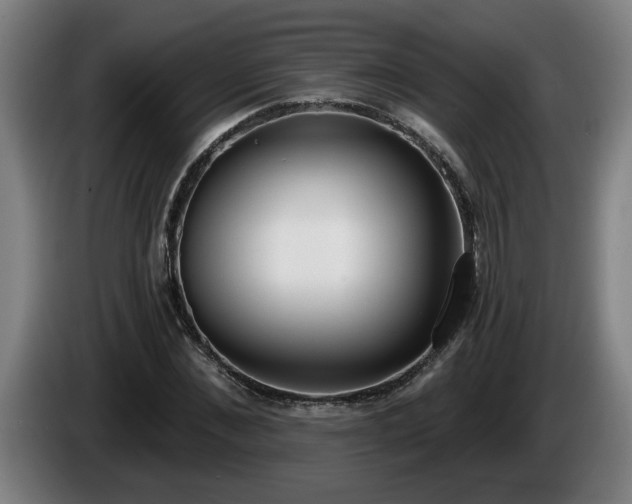 X0000086000876200703300945