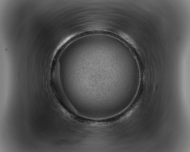 X0000086000877200703300945