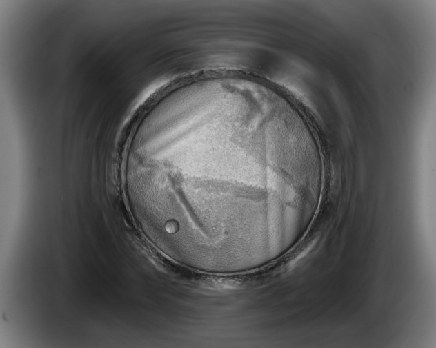 X0000086000878200703300945