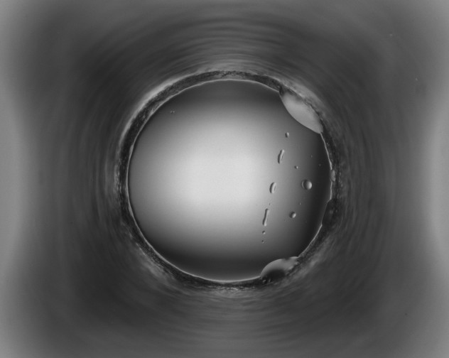 X0000086000880200703300945