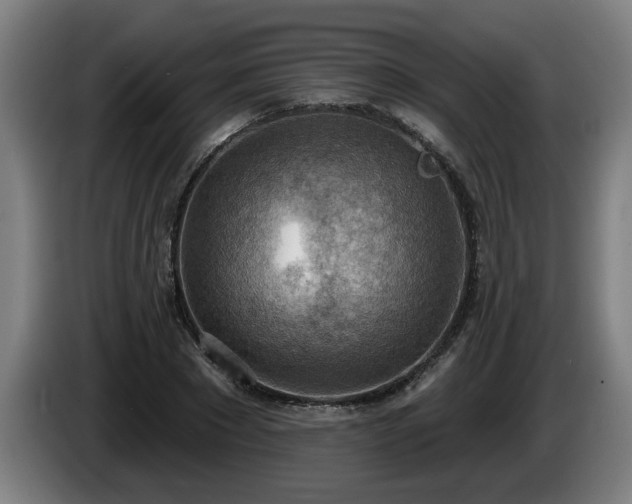 X0000086000881200703300945