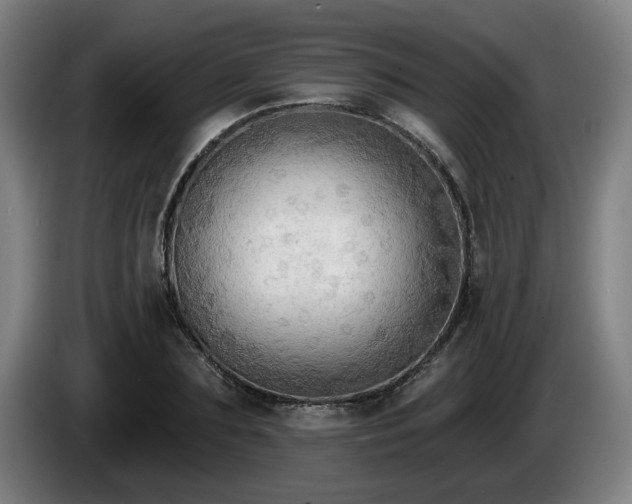 X0000086000883200703300945