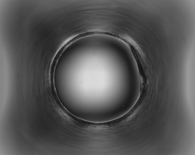 X0000086000884200703300945