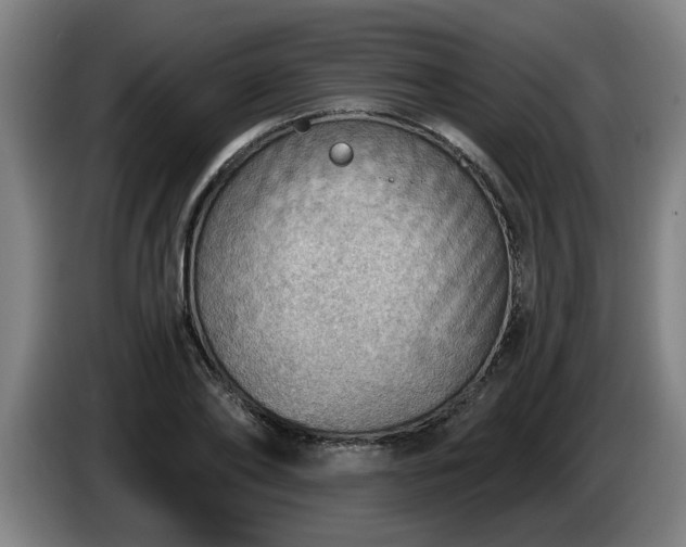 X0000086000886200703300945