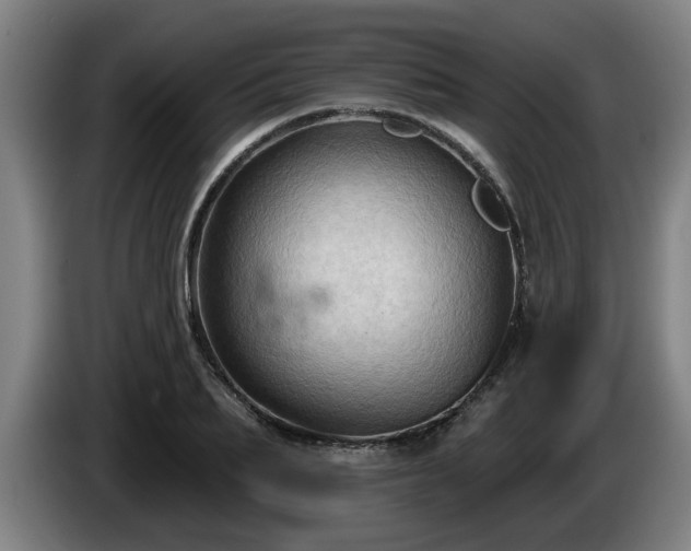 X0000086000887200703300945