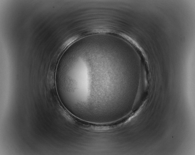 X0000086000889200703300945