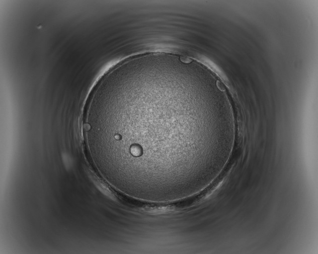 X0000086000891200703300945