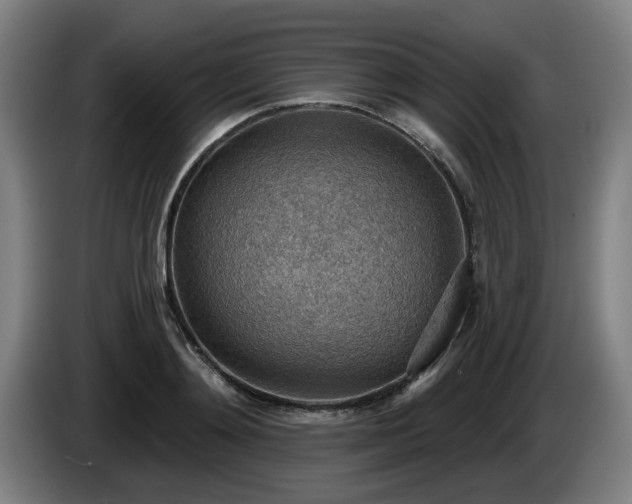 X0000086000892200703300945