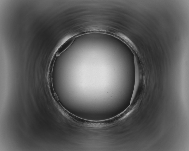 X0000086000893200703300945