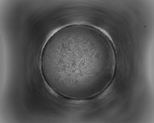 X0000086000895200703300945