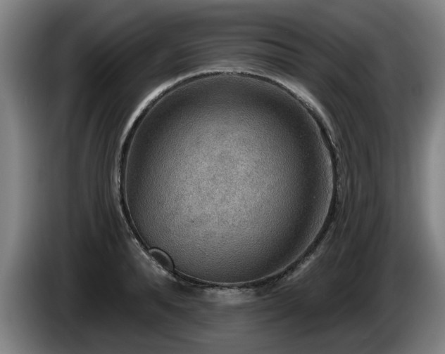 X0000086000896200703300945