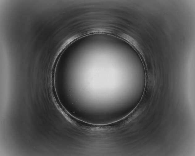 X0000086000898200703300945