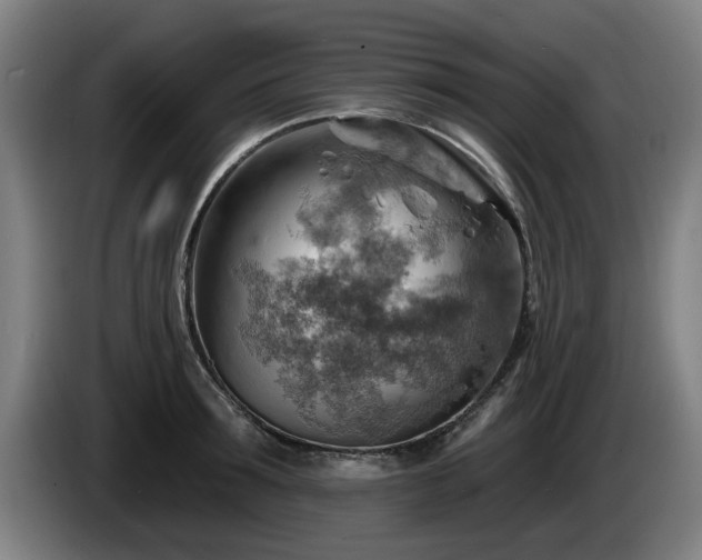 X0000086000899200703300945