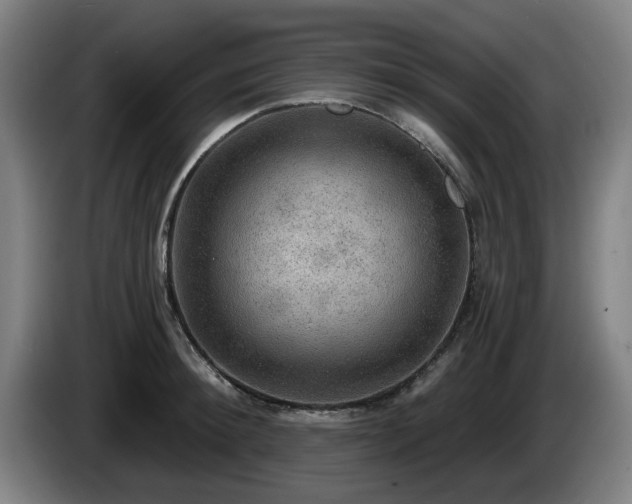 X0000086000900200703300945