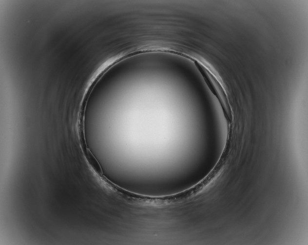 X0000086000901200703300945