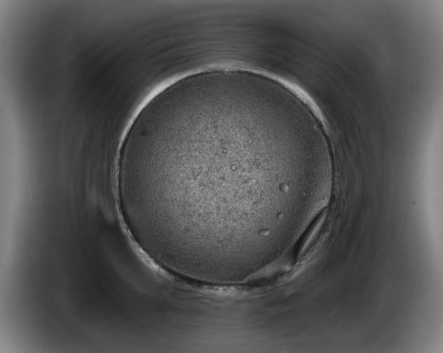 X0000086000903200703300945