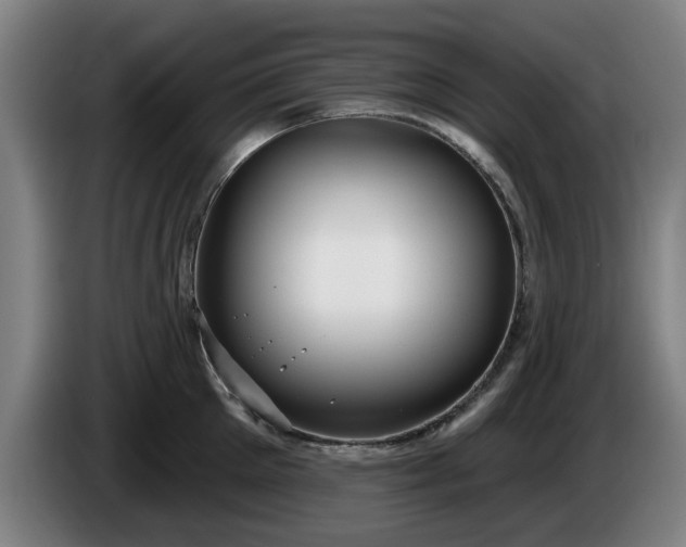 X0000086000905200703300945