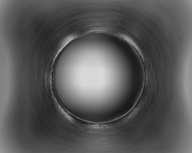 X0000086000906200703300945