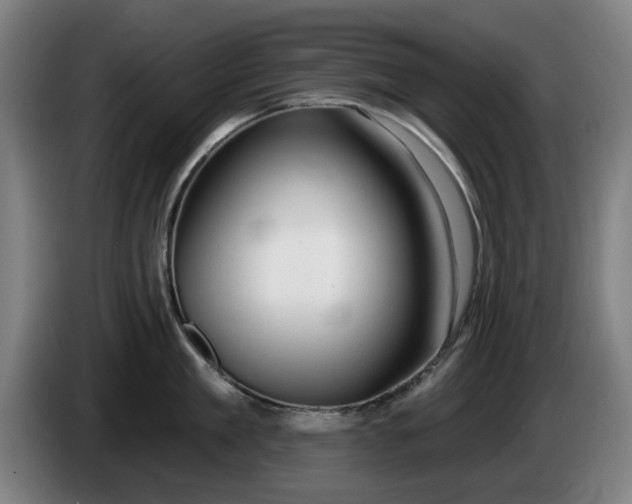 X0000086000909200703300945