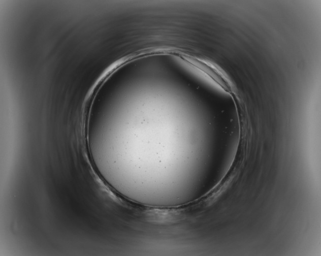 X0000086000910200703300945