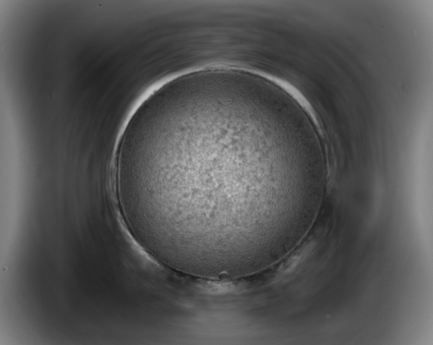 X0000086000911200703300945