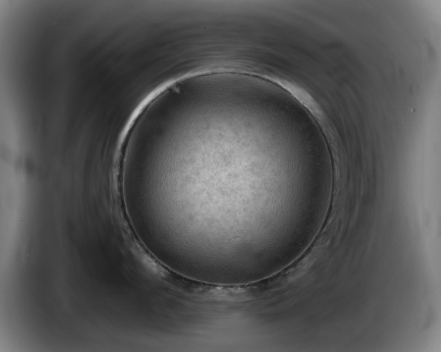 X0000086000912200703300945