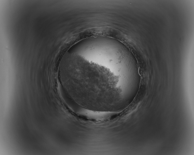 X0000086000913200703300944