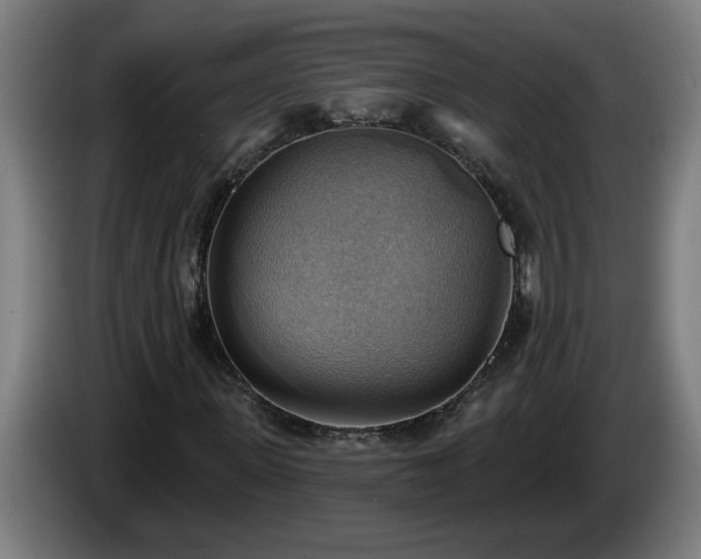 X0000086000915200703300944