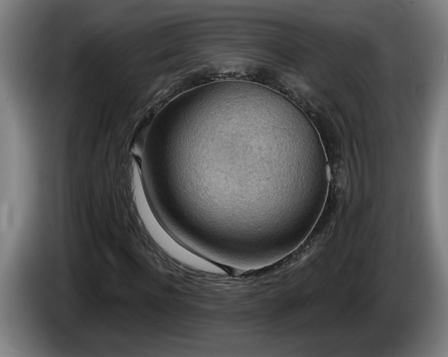 X0000086000916200703300944