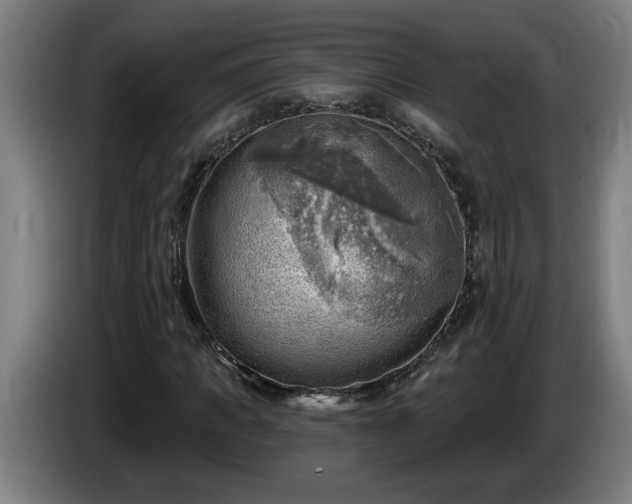 X0000086000917200703300944