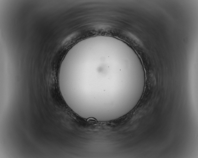 X0000086000918200703300944