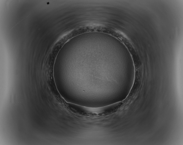 X0000086000919200703300944