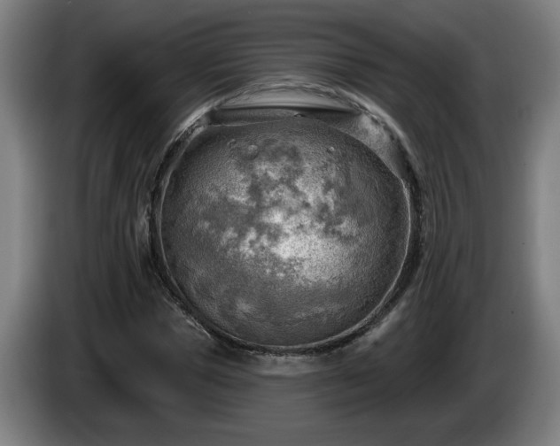 X0000086000921200703300944