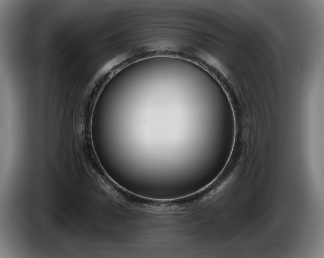 X0000086000922200703300944