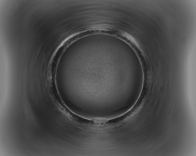 X0000086000923200703300944