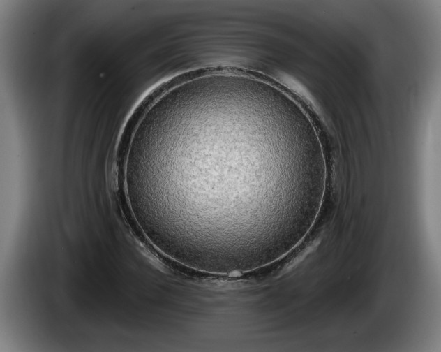 X0000086000924200703300944