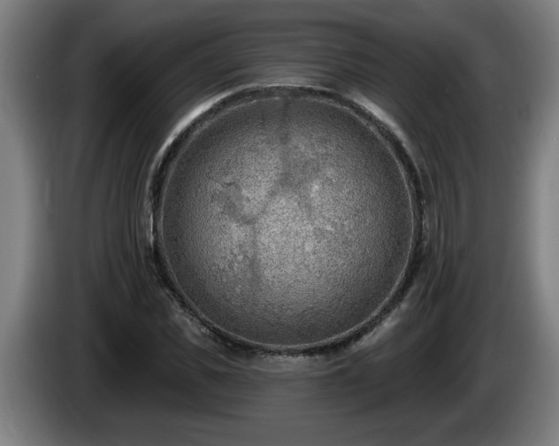 X0000086000925200703300944