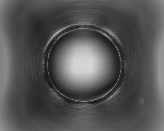 X0000086000926200703300944