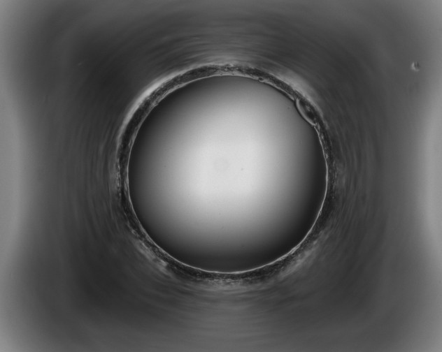 X0000086000927200703300944