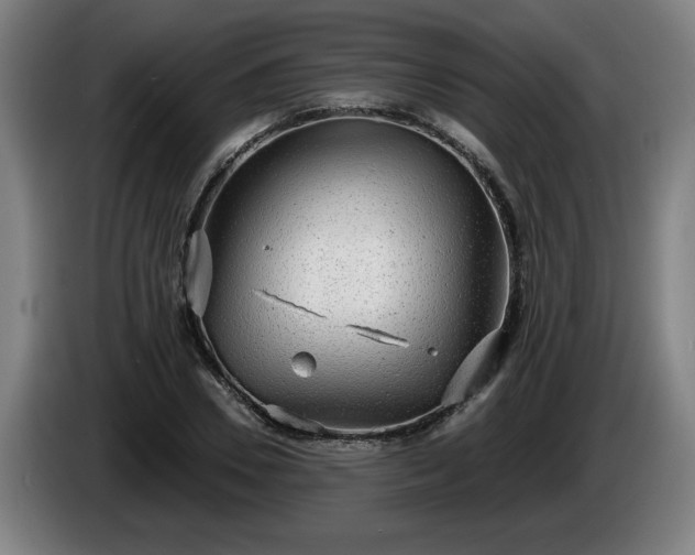 X0000086000930200703300944