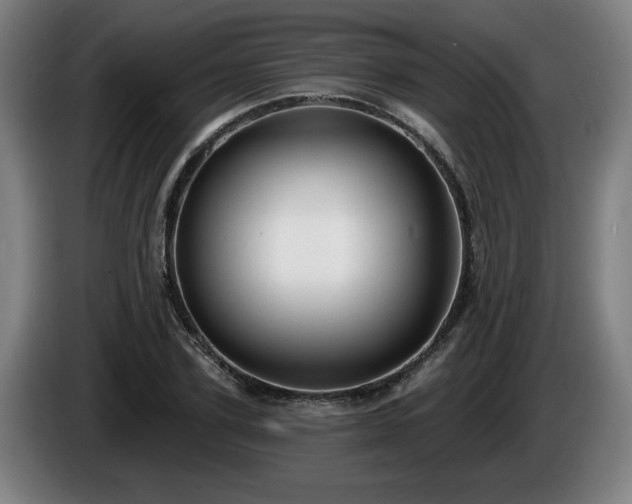 X0000086000931200703300944