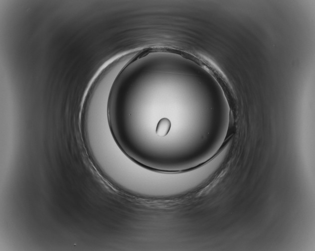 X0000086000932200703300944